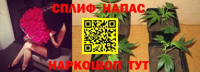 не бодяженный Кингисепп